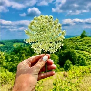 Meet your Posher, Susan